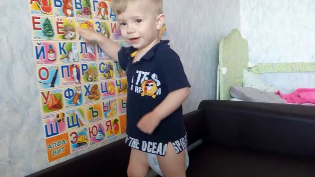 Учим животных смотреть онлайн