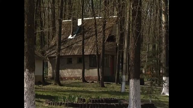 Зелёный берег