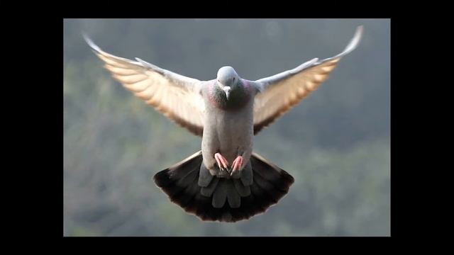 Canon 1100d photos смотреть онлайн