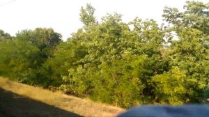 Прибытие поезда на Вокзал Ростов-Главный.