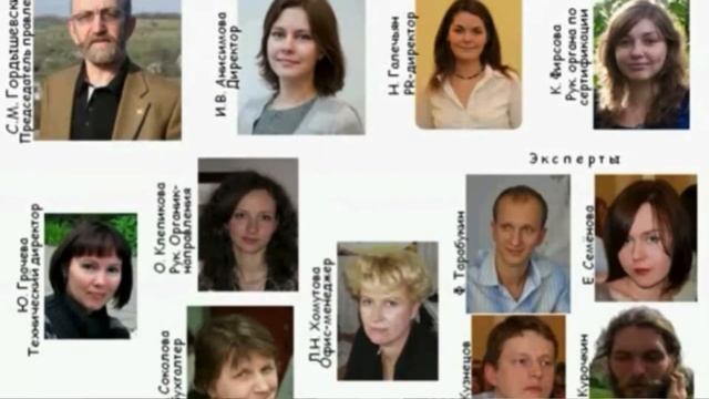 Экологичная уборка: как правильно выбрать экологичное средство для уборки? смотреть онлайн