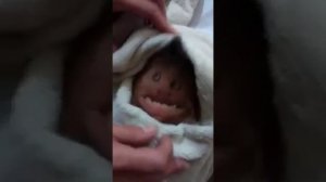 Кто нибудь знает что это такое?