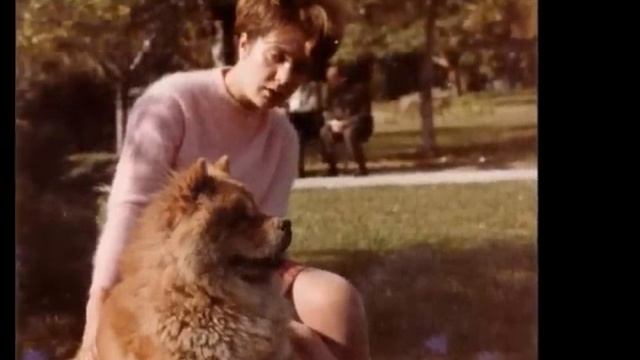 Vol.60 ЛОЛА НОВАКОВИЋ - КУЋИЦА У ЦВЕЋУ - LOLA NOVAKOVIĆ