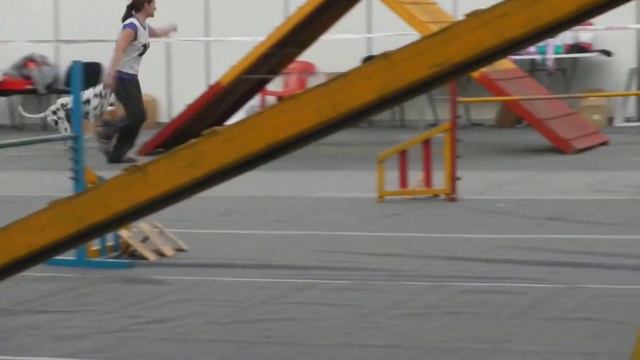 основная аджи далматин Слада смотреть онлайн