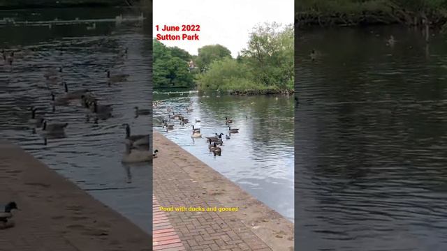 Visited Sutton Park 參觀瑟頓公園