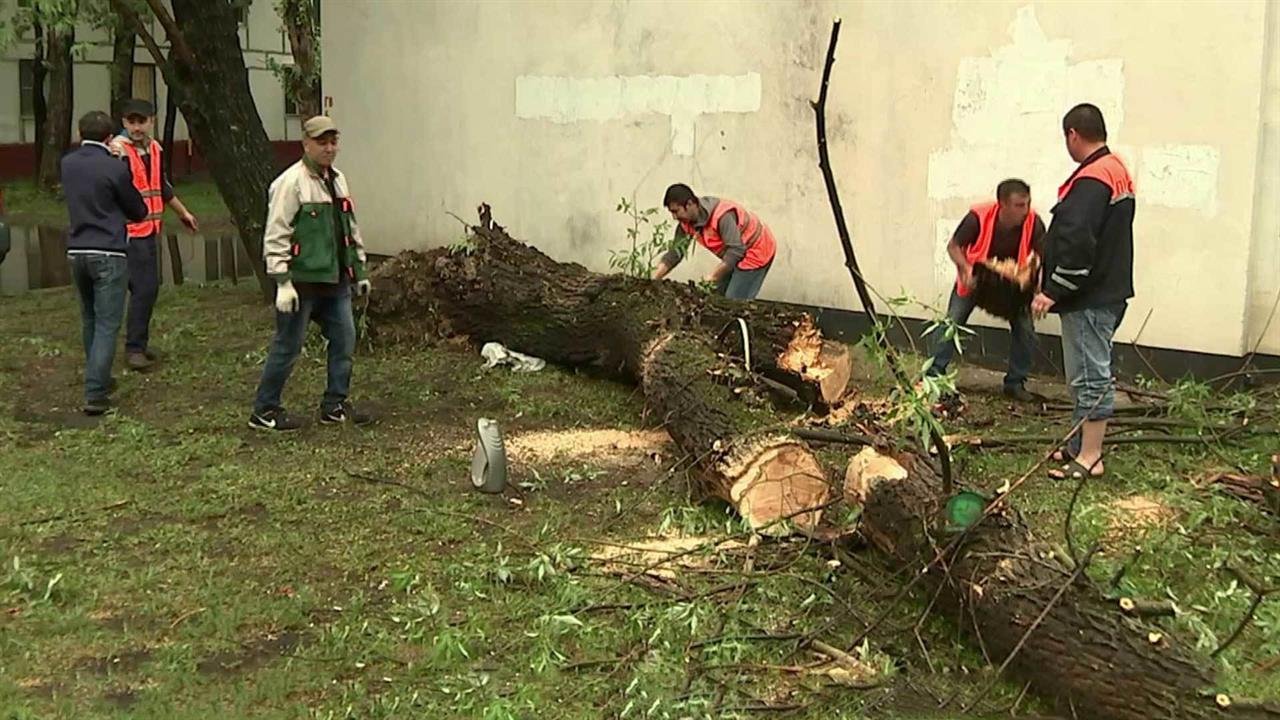 Сразу в нескольких регионах России ликвидируют последствия непогоды