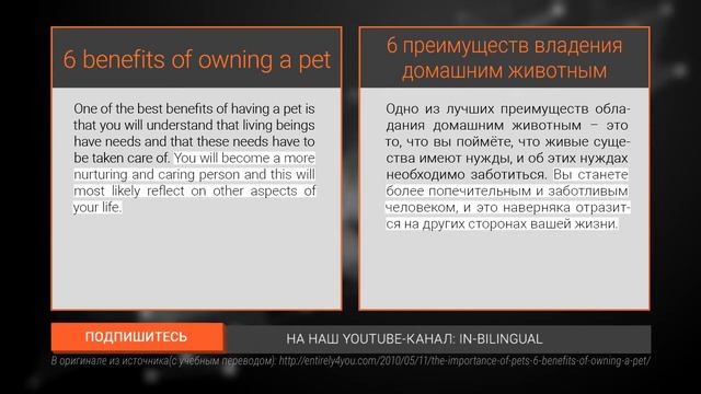 6 преимуществ владения домашним животным / 6 benefits of owning a pet смотреть онлайн