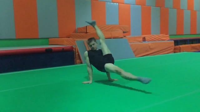 Круги Деласала Роман