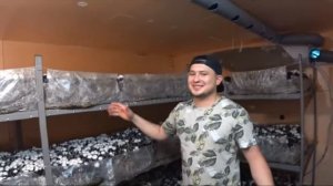 Шампиньоны на продажу # Сколько грибов можно вырастить в гараже # Гайд от Алексея