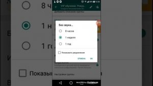 Как отключить уведомления в группах WhatsApp, как закрепить чат WhatsApp.