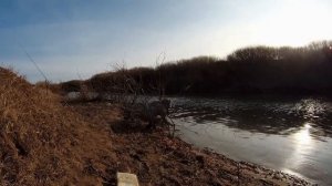 Эту приманку щука не пропускает.Ловля щуки на джерк ручной работы.