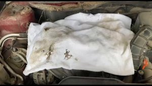 мотор ест масло, решение проблем с помощью автохимии. Раскоксовка ДВС, промывка мотора, замена масла
