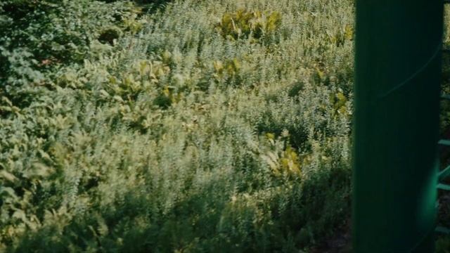 Bronco Off-Roadeo New Hampshire: The Reveal | Bronco Nation смотреть онлайн