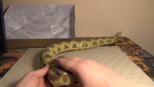 Змея на радиоуправлении