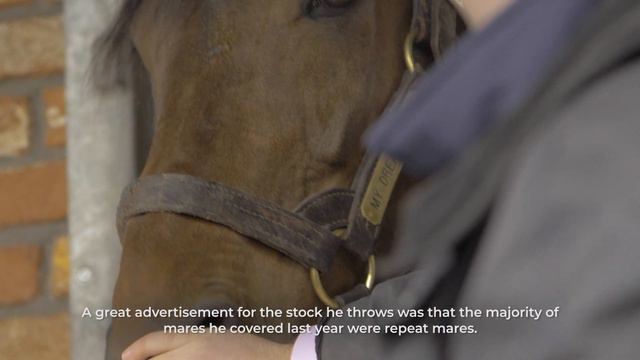 Launch : : Starfield Stud смотреть онлайн