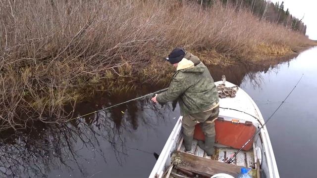 Рыбалка на сети/ на поплавок с каналом Коми Рыбак