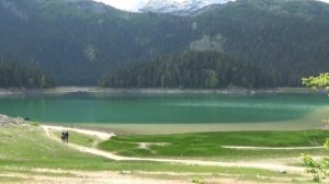 Вся правда про ЧЕРНОЕ ОЗЕРО. Жабляк, Черногория