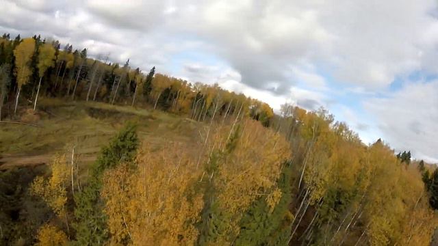 Дачный квест (осень 2019) смотреть онлайн