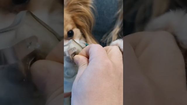 19 марта 2023 г. смотреть онлайн