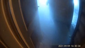 Обработка сруба от короеда холодным туманом. Уничтожение короедов холодным туманом.