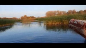 Рыбалка на Лбище 2020