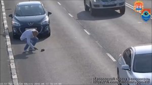 Спасение котёнка из-под колёс на проезжей части