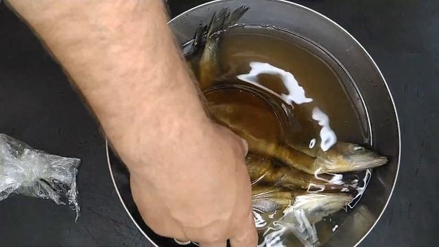 СЕЛЬДЬ в горчичной заливке смотреть онлайн