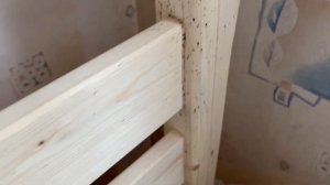 Откуда берутся клопы в постели и из-за чего они могут в ней жить?
