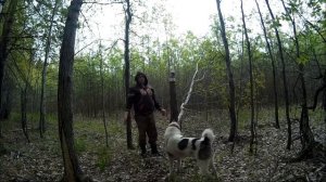 Солонцы для зайца