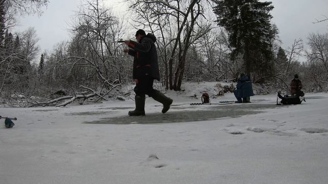 Хариус. Первый лед.