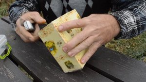 Посылка с гусеницей бражника мертвая голова. Нескучная жизнь.