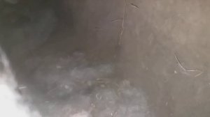 как устроена нора кролика, с кролями