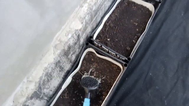 Применяю Трихоцин смотреть онлайн