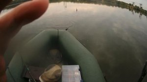 Озеро Бархатово. Шука. 03.08.2020г.