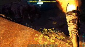 Ark Survival Evolved - ПРИРУЧАЕМ КЕЦАЛЯ (КАК ПРИРУЧИТЬ)