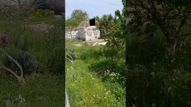 Выбираем дачу в садоводстве летний сад в городе волгодонске