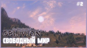 TES IV Oblivion на 100% #2: Свободный Мир (Подробное прохождение).