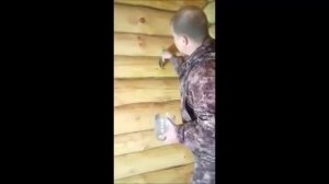 Покраска деревянного дома маслом | Какое масло выбрать при высокой влажности