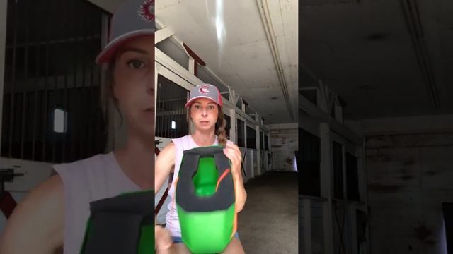 DIY Equine Nebulizer смотреть онлайн