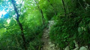 Крабовое ущелье, Лазаревское, Сочи. Весь маршрут от первого лица. 4K/GoPro