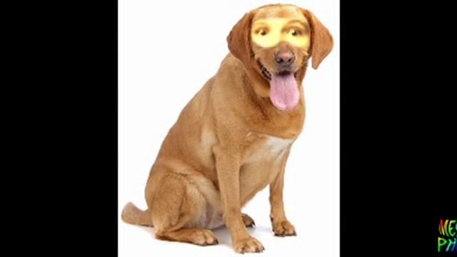 Просто я в мега фото смотреть онлайн