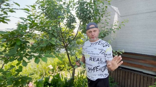 Очень важная июньская обрезка деревьев смотреть онлайн