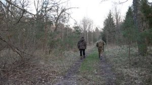 Охота на Вальдшнепа в Калининградской области