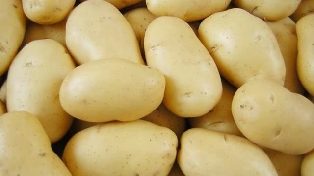 Семенной Картофель Сорт Королева Анна Характеристика