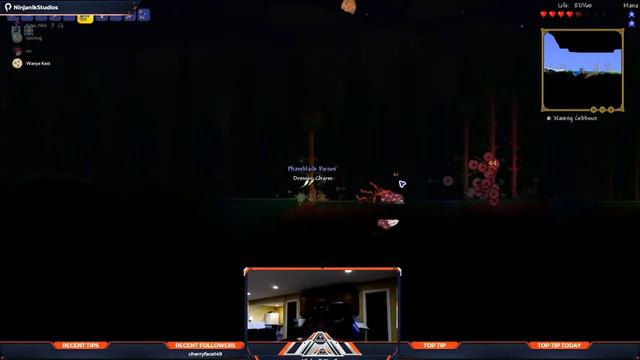 Terraria Randomizer: Chaos Ensues смотреть онлайн