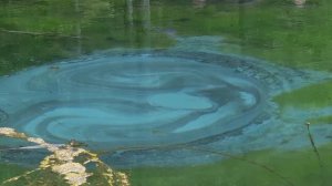 Золотое кольцо Алтая. 1серия