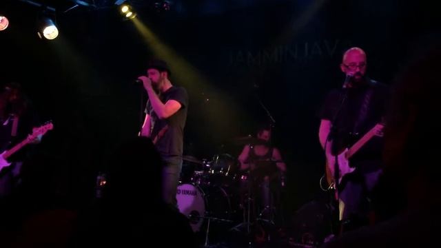 The Excentrics - The Same Diane - 11-29-2014 - Jammin' Java смотреть онлайн