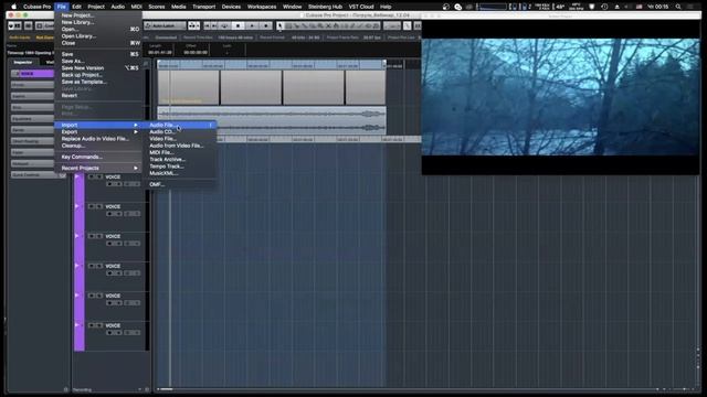 ВЕБИНАР: Озвучивание и сведение фильмов | VOICEACTING