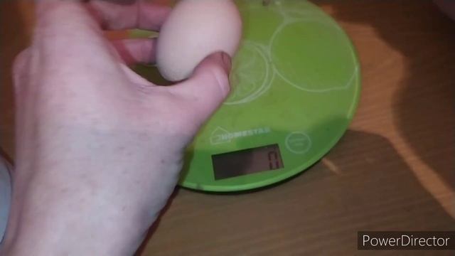 вот оно счастье ПТИЦЕВОДА! занеслись куры-молодки! ура! моя деревенская жизнь. country life смотреть онлайн