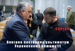 Срочно!!! Венгрия поставила ультиматум Украине.